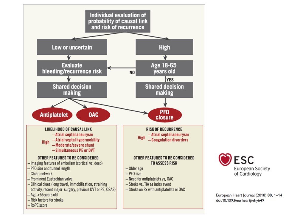 Cinquantunesima slide